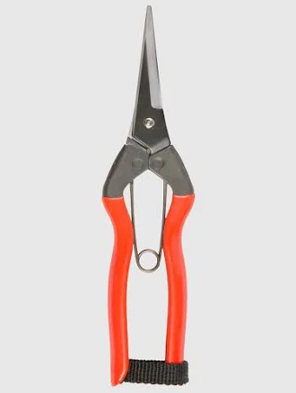 Niwaki Garden Snips